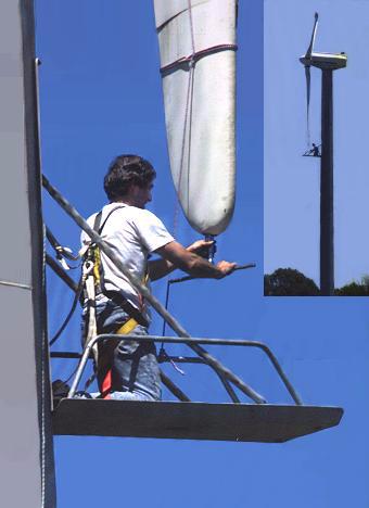 Gunter performs maintenance at Breamlea. Copyright Geelong Advertiser